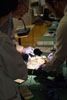 8G0A8144-Thumb.jpg