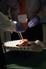 8G0A8150-Thumb.jpg