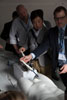 8G0A8169-Thumb.jpg