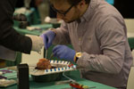 8G0A8236-Thumb.jpg