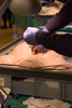 8G0A8412-Thumb.jpg