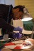 8G0A8413-Thumb.jpg